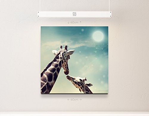 Paul Sinus Art Leinwandbilder | Bilder Leinwand 60x60cm Giraffe mit Kind – Nahaufnahme