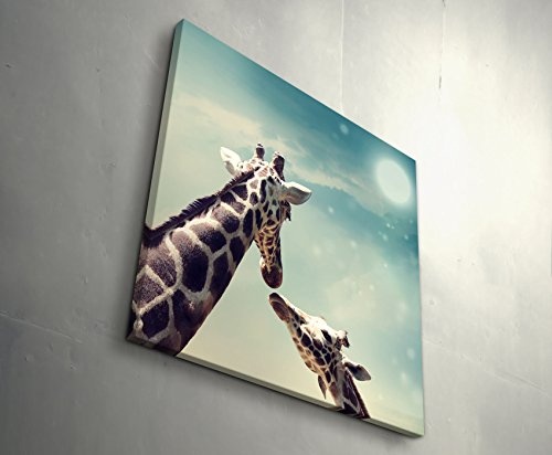 Paul Sinus Art Leinwandbilder | Bilder Leinwand 60x60cm Giraffe mit Kind – Nahaufnahme