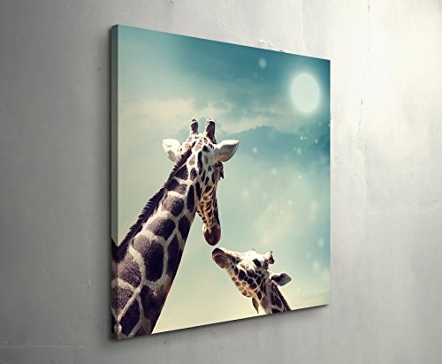 Paul Sinus Art Leinwandbilder | Bilder Leinwand 60x60cm Giraffe mit Kind – Nahaufnahme