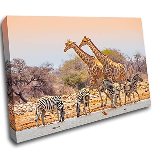 LoveSticker CH1237 Leinwandbild Giraffe Zebra Wasserloch...