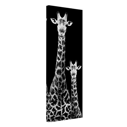 Bilderwelten Leinwandbild - Giraffen Duo schwarz-weiß - Panoramabild Hoch, 180cm x 60cm