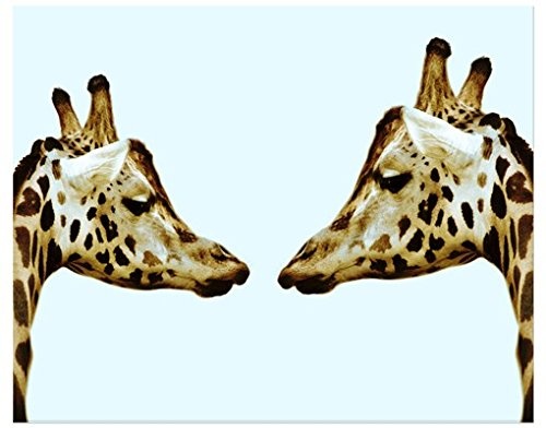 Leinwandbild Giraffes In Love Giraffen Küssen Familie Liebe Afrika, Leinwand, Leinwandbild XXL, Leinwanddruck, Wandbild