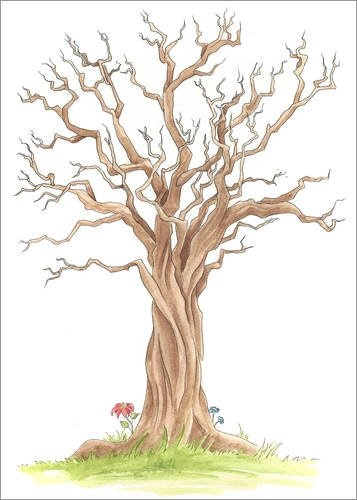 Posterlounge Leinwandbild 120 x 170 cm: Stammbaum von Nadine Conrad - fertiges Wandbild, Bild auf Keilrahmen, Fertigbild auf echter Leinwand, Leinwanddruck