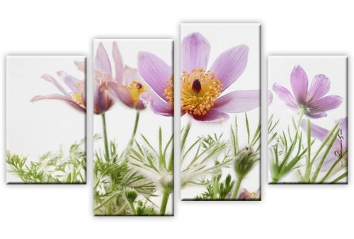Wandbilder Finger Kuhschelle Blumen Leinwandbild 4-Teilig: 100x60 cm