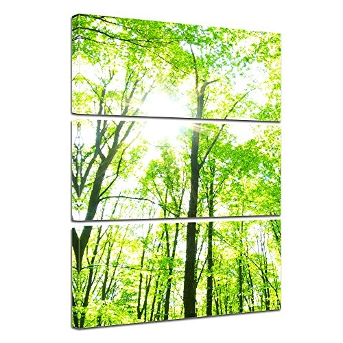 Wandbild - Grüner Wald - Bild auf Leinwand - 80x120...