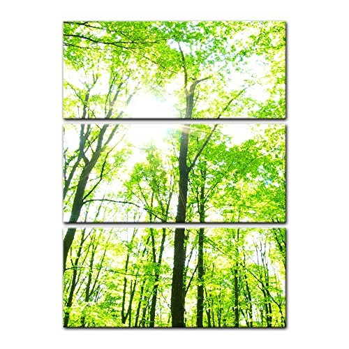 Wandbild - Grüner Wald - Bild auf Leinwand - 80x120 cm dreiteilig - Leinwandbilder - Landschaften - Baumkronen im Sonnenschein