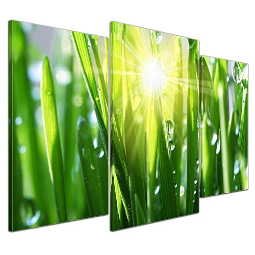 Wandbild - Gras II - Bild auf Leinwand - 100x60 cm dreiteilig - Leinwandbilder - Pflanzen & Blumen - Grashalme mit Wassertropfen in der Sonne