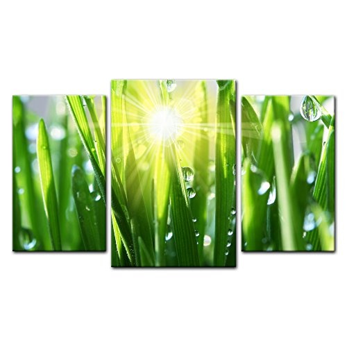 Wandbild - Gras II - Bild auf Leinwand - 100x60 cm dreiteilig - Leinwandbilder - Pflanzen & Blumen - Grashalme mit Wassertropfen in der Sonne