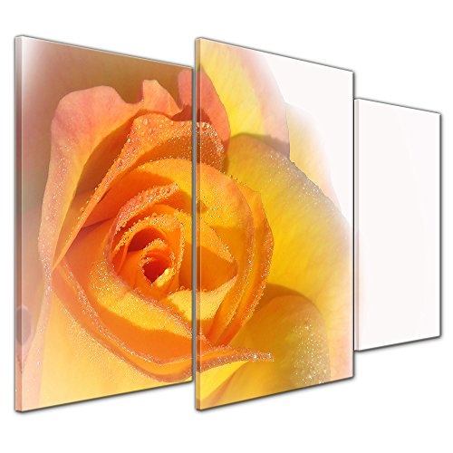 Wandbild - Gelbe Rose - Bild auf Leinwand - 100x60 cm dreiteilig - Leinwandbilder - Pflanzen & Blumen - Rosenblüte -Nahaufnahme
