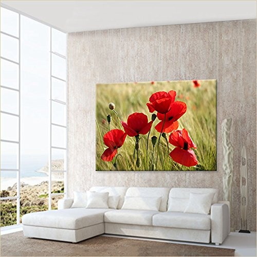 LANA KK - Leinwandbild "Mohnblumen" mit Blumen auf Echtholz-Keilrahmen – Frühling und Natur Fotoleinwand-Kunstdruck in rot, dreiteilig & fertig gerahmt in 120x80cm