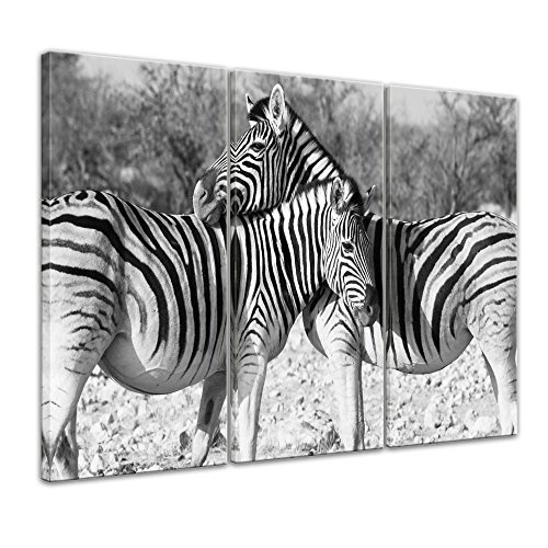Wandbild - Zebrapaar - Bild auf Leinwand - 120x80 cm dreiteilig - Leinwandbilder - Tierwelten - schwarz weiß - Tierfreundschaft