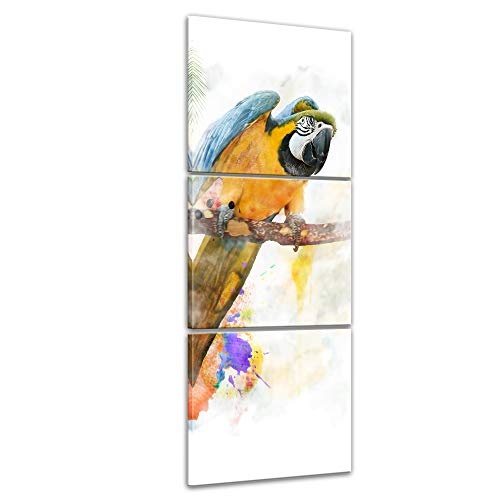 Wandbild - Aquarell - Papagei - Bild auf Leinwand 30 x 90 cm dreiteilig - Leinwandbilder - Bilder als Leinwanddruck - Tierwelten - Malerei - Vogel - blau-gelber Ara