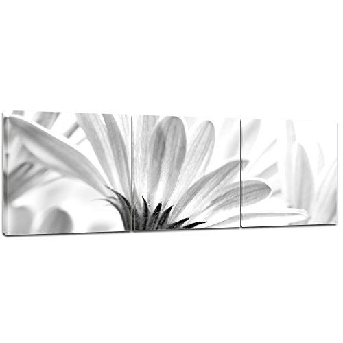Wandbild - Blume - schwarz Weiss - Bild auf Leinwand - 120x40 cm dreiteilig - Leinwandbilder - Pflanzen & Blumen - Blüte Einer Margerite