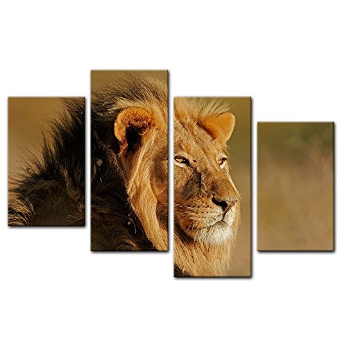 Wandbild - Afrikanischer Löwe - Bild auf Leinwand - 120x80 cm vierteilig - Leinwandbilder - Tierwelten - Portrait eines Löwen