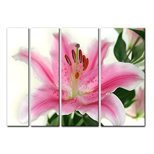 Keilrahmenbild - Lilie IV - Bild auf Leinwand - 180x120 cm vierteilig - Leinwandbilder - Pflanzen & Blumen - Symbol der Reinheit - Blüte Einer Prachtlilie - rosa