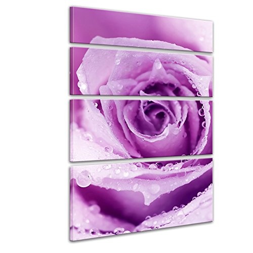 Keilrahmenbild - Lila Rose mit Tropfen II - Bild auf Leinwand - 120x180 cm vierteilig - Leinwandbilder - Pflanzen & Blumen - Violette Rosenblüte - Wassertropfen - Regentropfen - Nahaufnahme