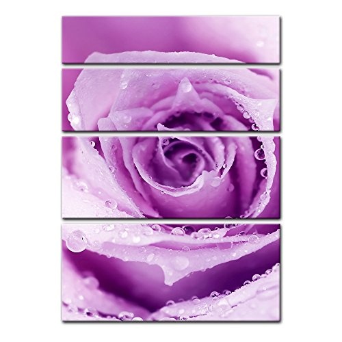 Keilrahmenbild - Lila Rose mit Tropfen II - Bild auf Leinwand - 120x180 cm vierteilig - Leinwandbilder - Pflanzen & Blumen - Violette Rosenblüte - Wassertropfen - Regentropfen - Nahaufnahme