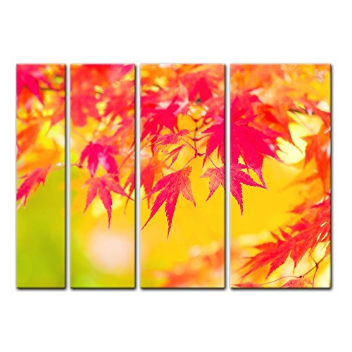Keilrahmenbild - Rote und gelbe Ahornblätter - Bild auf Leinwand - 180x120 cm vierteilig - Leinwandbilder - Pflanzen & Blumen - Herbst - Fächerahorn - stimmungsvoll - rot, gelb und orange