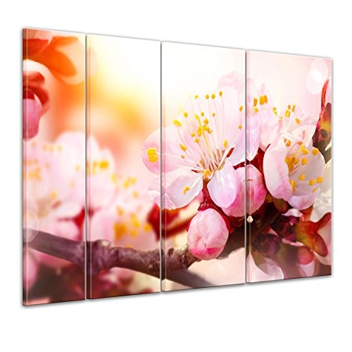 Keilrahmenbild - Aprikosenblüten - Bild auf Leinwand...