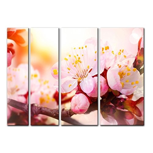 Keilrahmenbild - Aprikosenblüten - Bild auf Leinwand...