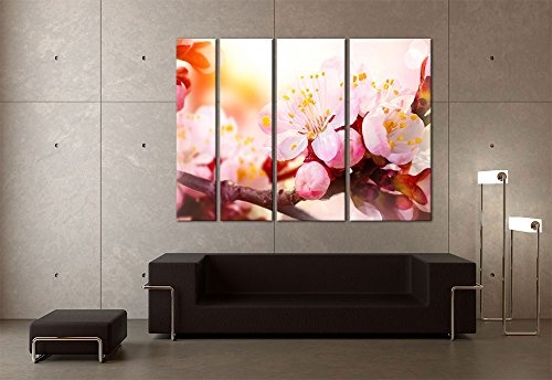 Keilrahmenbild - Aprikosenblüten - Bild auf Leinwand - 180x120 cm vierteilig - Leinwandbilder - Pflanzen & Blumen - Blüten und Knospen der Aprikose - rosé - gelb