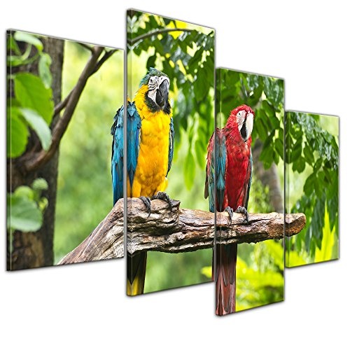 Wandbild - Macaw Papageien - Bild auf Leinwand - 120x80...
