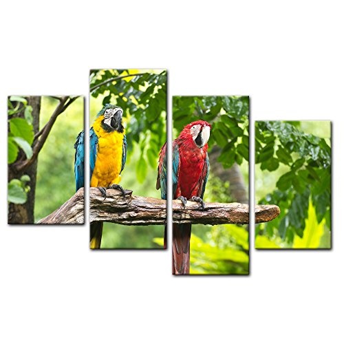 Wandbild - Macaw Papageien - Bild auf Leinwand - 120x80 cm vierteilig - Leinwandbilder - Tierwelten - Tropen - Sittich - Bunte Vögel auf Einem AST