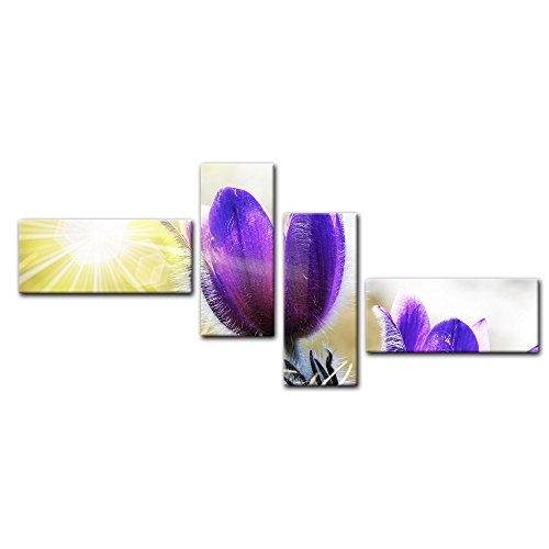 Wandbild - Lila Feldblumen - Bild auf Leinwand - 200x90 cm vierteilig - Leinwandbilder - Pflanzen & Blumen - Frühling - Frühblüher - Violette Krokusse im Sonnenlicht