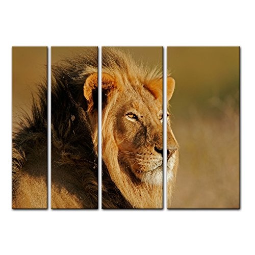 Keilrahmenbild - Afrikanischer Löwe - Bild auf...