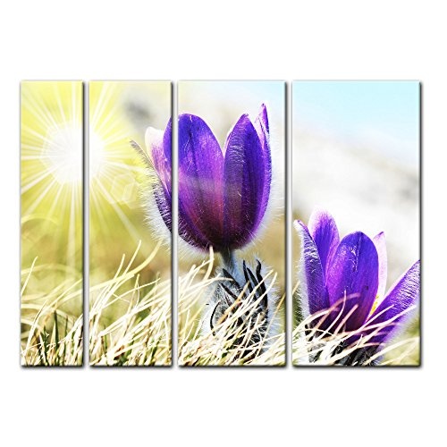 Keilrahmenbild - Lila Feldblumen - Bild auf Leinwand - 180x120 cm vierteilig - Leinwandbilder - Pflanzen & Blumen - Frühling - Frühblüher - Violette Krokusse im Sonnenlicht