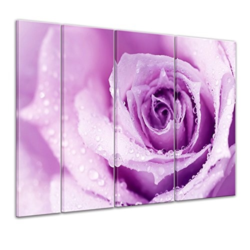 Keilrahmenbild - Lila Rose mit Tropfen II - Bild auf Leinwand - 180x120 cm vierteilig - Leinwandbilder - Pflanzen & Blumen - Violette Rosenblüte - Wassertropfen - Regentropfen - Nahaufnahme