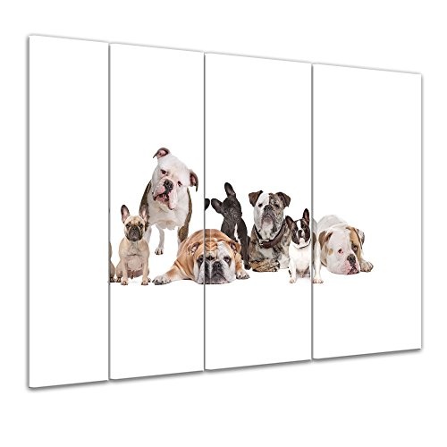 Keilrahmenbild - Bulldoggenfamilie - Bild auf Leinwand - 180x120 cm vierteilig - Leinwandbilder - Tierwelten - Hunderassen - Molosser - niedliches Gruppenbild