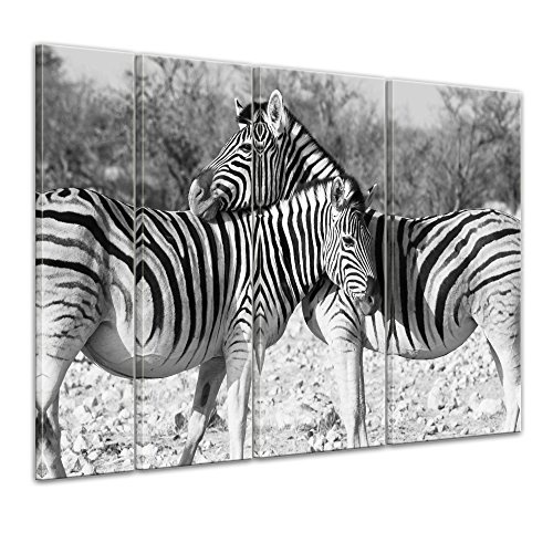Keilrahmenbild - Zebrapaar - Bild auf Leinwand - 180x120...