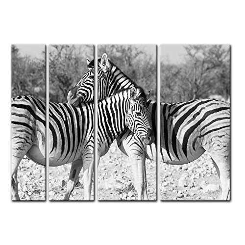 Keilrahmenbild - Zebrapaar - Bild auf Leinwand - 180x120...