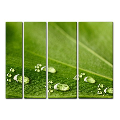 Keilrahmenbild - Wasserspuren auf Einem Blatt - Bild auf Leinwand - 180x120 cm vierteilig - Leinwandbilder - Geist & Seele - Wassertropfen als kleine Fussspur