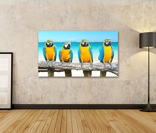 Bild auf Leinwand Vier Papageien Blau und Gold Macaw tropischen schönen Strand und Meer Wandbild, Poster, Leinwandbild, Deko, Wanddeko, Wandtattoo