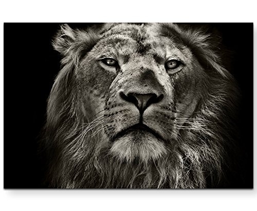 Paul Sinus Art Leinwandbilder | Bilder Leinwand 120x80cm Portrait Eines Löwen