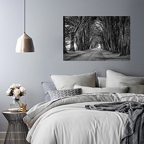 Feeby. Wandbild - 1 Teilig - 50x70 cm, Leinwand Bild Leinwandbilder Bilder Wandbilder Kunstdruck, WALD, BÄUME, NATUR, SCHWARZ-WEIß