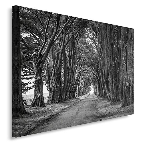 Feeby. Wandbild - 1 Teilig - 50x70 cm, Leinwand Bild Leinwandbilder Bilder Wandbilder Kunstdruck, WALD, BÄUME, NATUR, SCHWARZ-WEIß