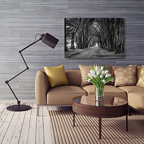 Feeby. Wandbild - 1 Teilig - 50x70 cm, Leinwand Bild Leinwandbilder Bilder Wandbilder Kunstdruck, WALD, BÄUME, NATUR, SCHWARZ-WEIß