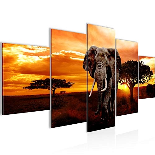 Bilder Afrika Elefant Wandbild 150 x 75 cm Vlies -...