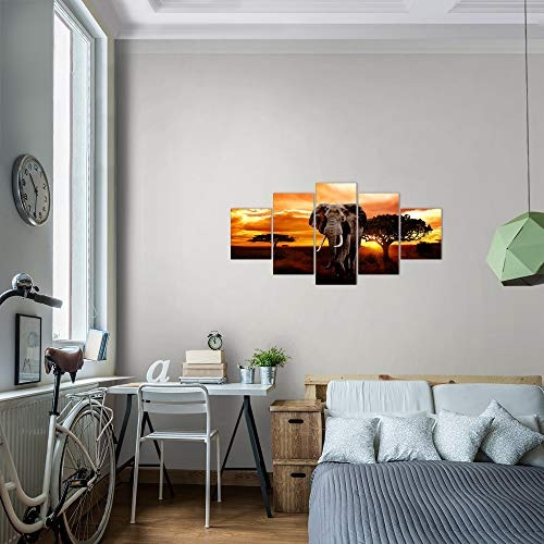 Bilder Afrika Elefant Wandbild 150 x 75 cm Vlies - Leinwand Bild XXL Format Wandbilder Wohnzimmer Wohnung Deko Kunstdrucke Orang 5 Teilig - MADE IN GERMANY - Fertig zum Aufhängen 001253a