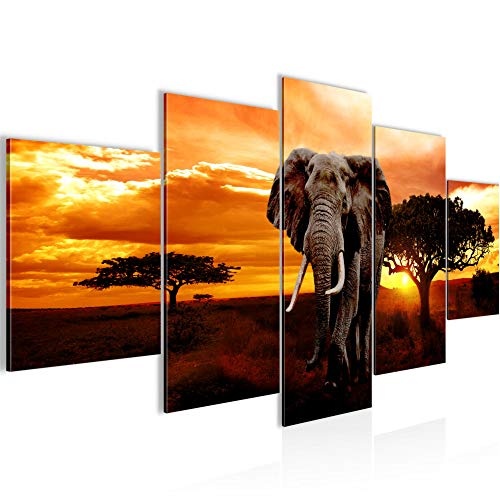 Bilder Afrika Elefant Wandbild 150 x 75 cm Vlies - Leinwand Bild XXL Format Wandbilder Wohnzimmer Wohnung Deko Kunstdrucke Orang 5 Teilig - MADE IN GERMANY - Fertig zum Aufhängen 001253a