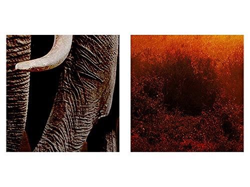 Bilder Afrika Elefant Wandbild 150 x 75 cm Vlies - Leinwand Bild XXL Format Wandbilder Wohnzimmer Wohnung Deko Kunstdrucke Orang 5 Teilig - MADE IN GERMANY - Fertig zum Aufhängen 001253a