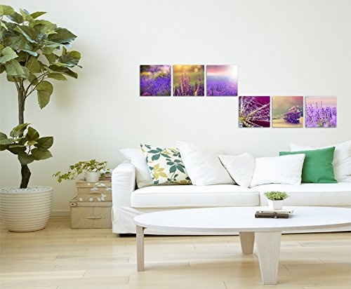 Paul Sinus Art 6 Teiliges Leinwandbild je 40x40cm - Lavendel Blumen Spinnennetz Sonne