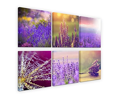 Paul Sinus Art 6 Teiliges Leinwandbild je 40x40cm - Lavendel Blumen Spinnennetz Sonne