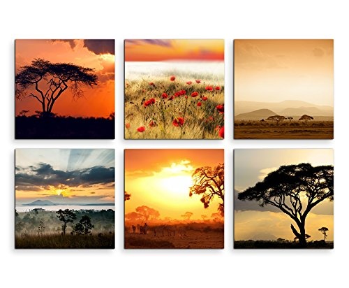 Paul Sinus Art 6 Teiliges Leinwandbild je 40x40cm - Akazienbaum Afrika Wüste Mohnblumen Sonnenuntergang