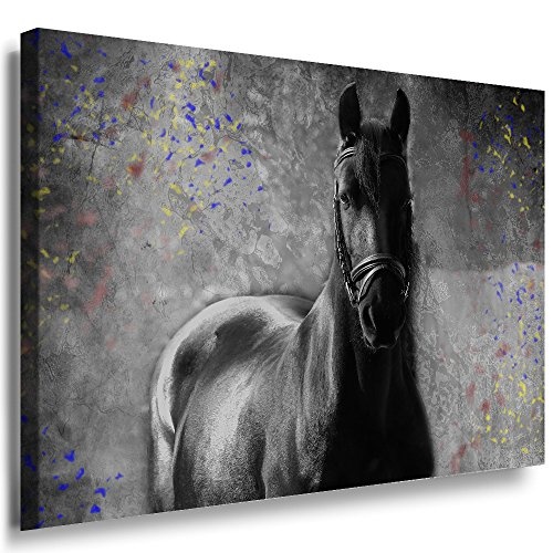 Julia-art Leinwandbilder - Schwarzes Pferd Bild 1 teilig - 120 mal 80 cm Leinwand auf Rahmen - sofort aufhängbar ! Wandbild XXL - Kunstdrucke QN.170-6