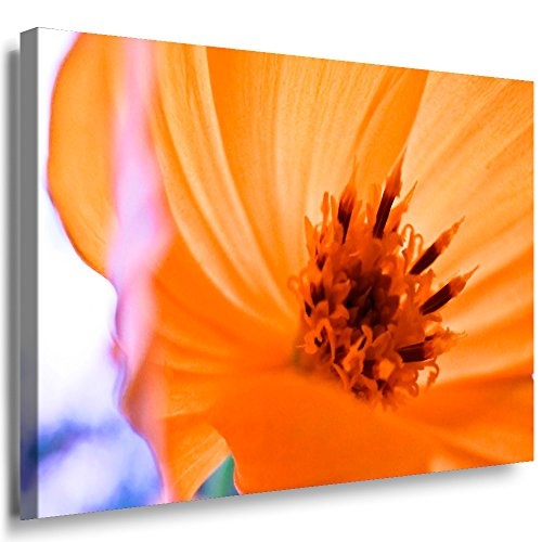 Julia-art Leinwandbilder - Orange, Blumen Bild 1 teilig - 120 mal 80 cm Leinwand auf Rahmen - sofort aufhängbar ! Wandbild XXL - Kunstdrucke QN.119-6