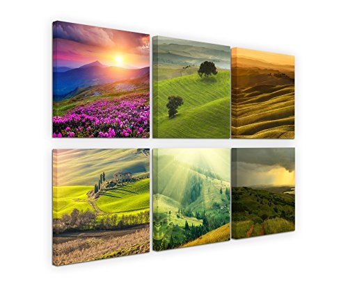 Paul Sinus Art 6 Teiliges Leinwandbild je 40x40cm - Landschaft Blumen Wiese Sonnenuntergang Natur